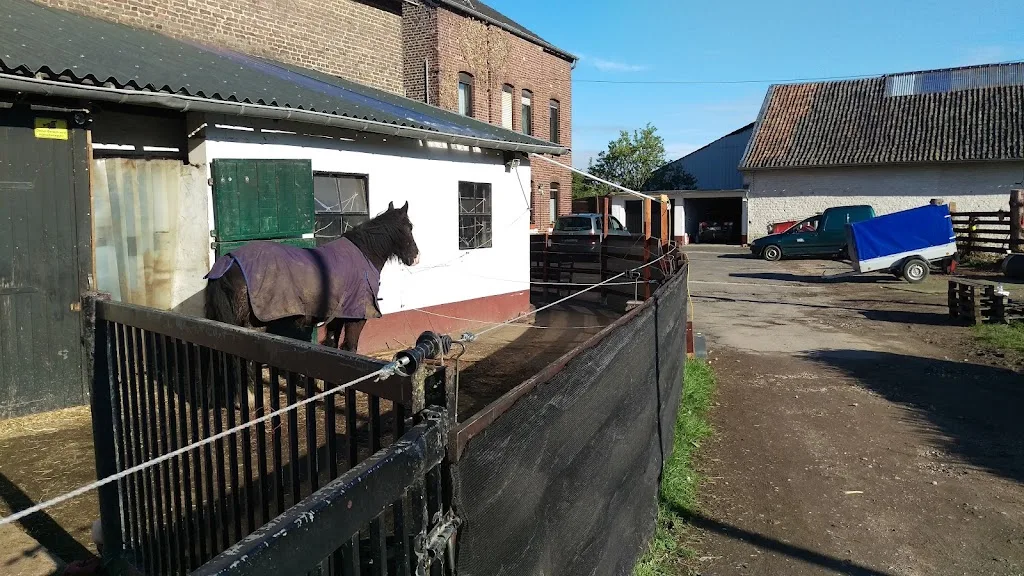 Pferdehof Gorissen - Foto 1