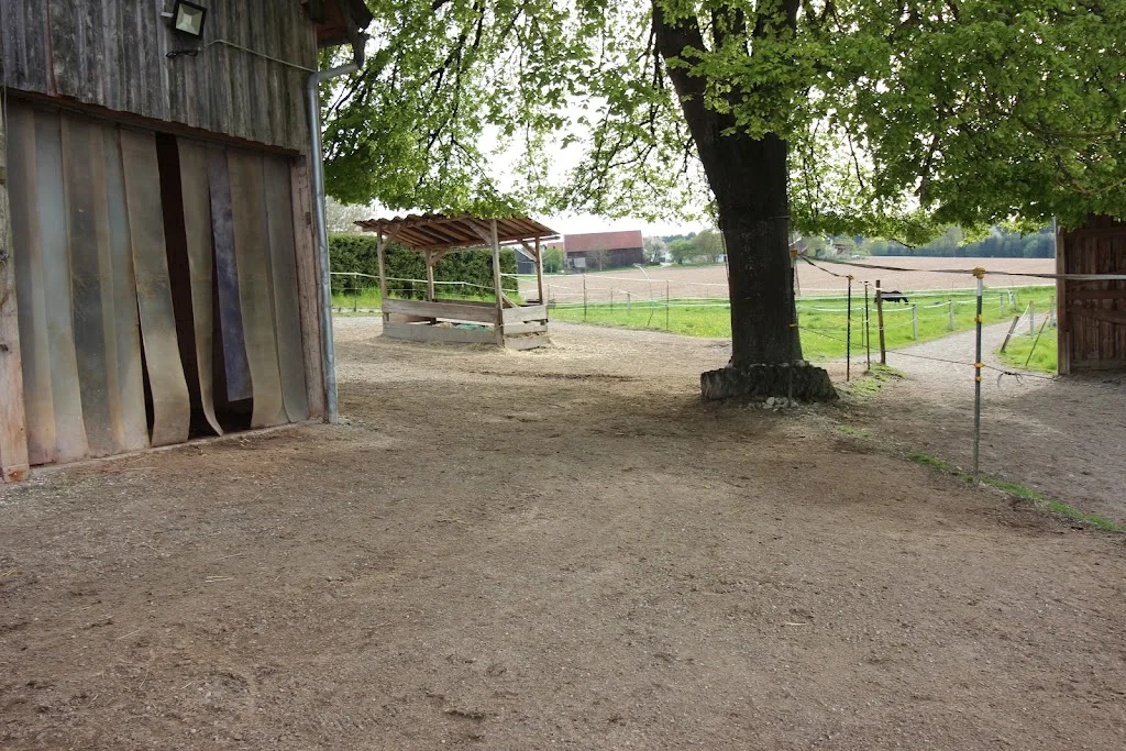 Pferdehof Nitschke - Foto 1