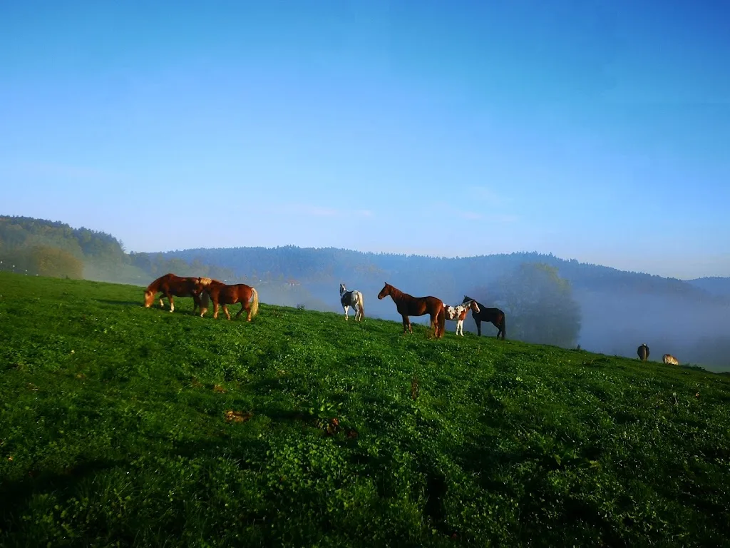 Little Valley Ranch - Foto 1