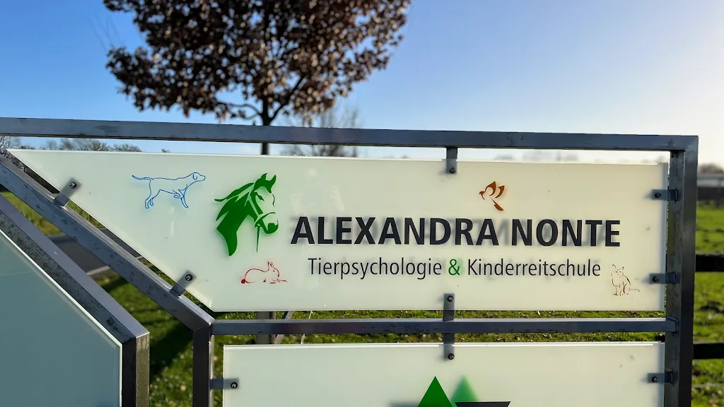 Pony Friends Jugendreitschule - photo 1