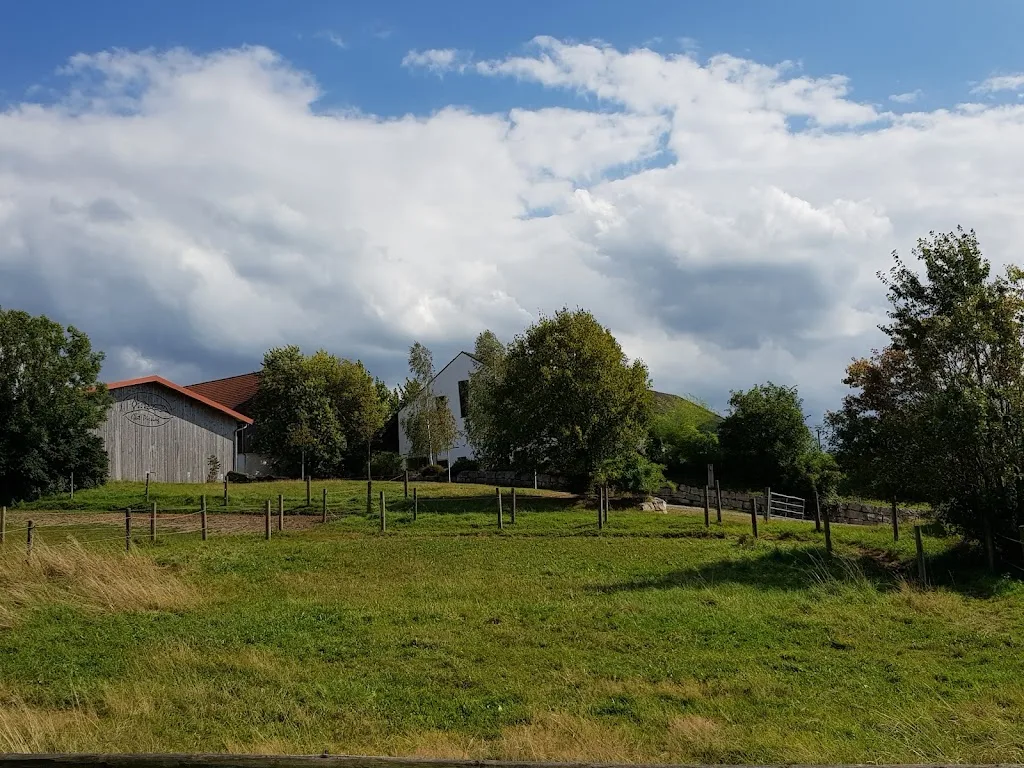 Gut Piesing - Foto 2