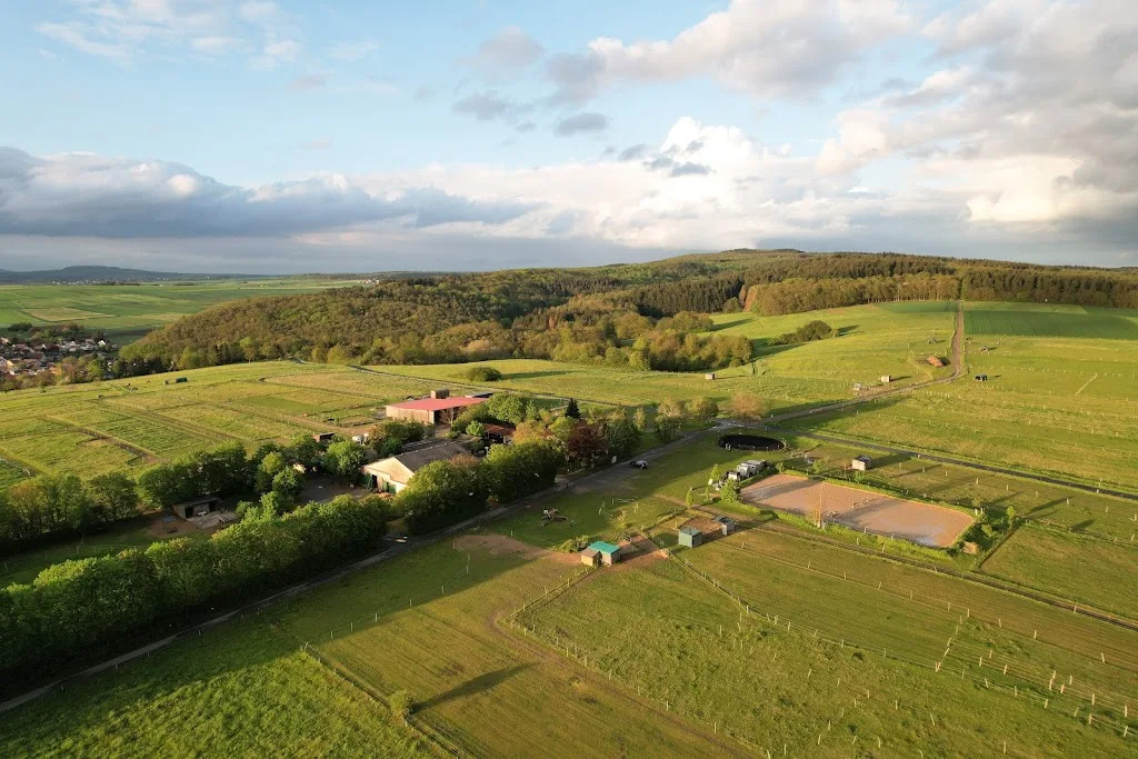 Paulshof - Foto 2