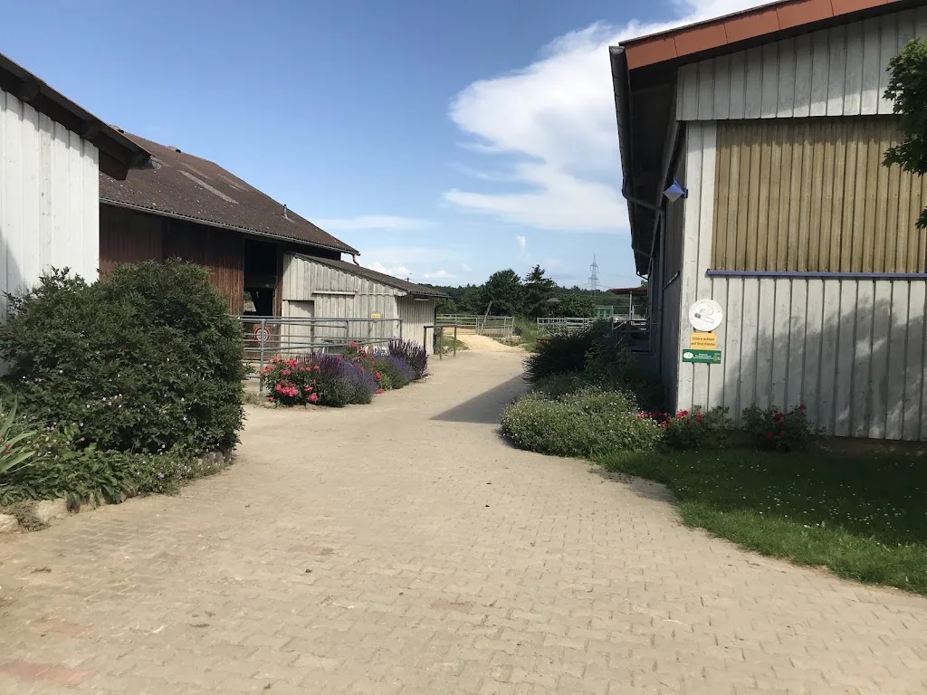 Reitschule Birkenhof - Foto 3