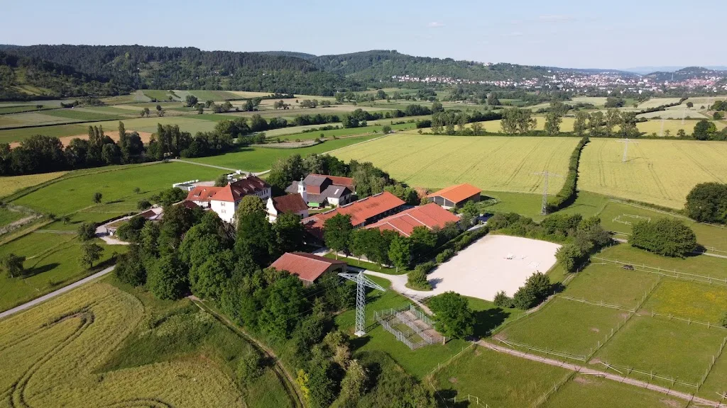Pferdepension Domäne Ammerhof - Foto 1