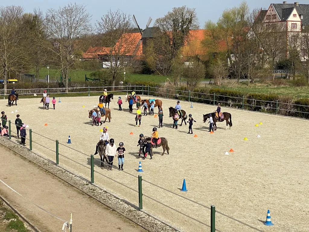 Stall Böer - Reitanlage am Schloss Salder - Foto 1