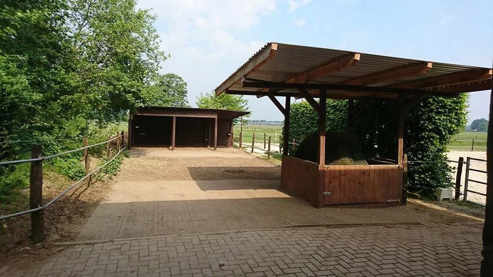 Open Ranch - Foto 1