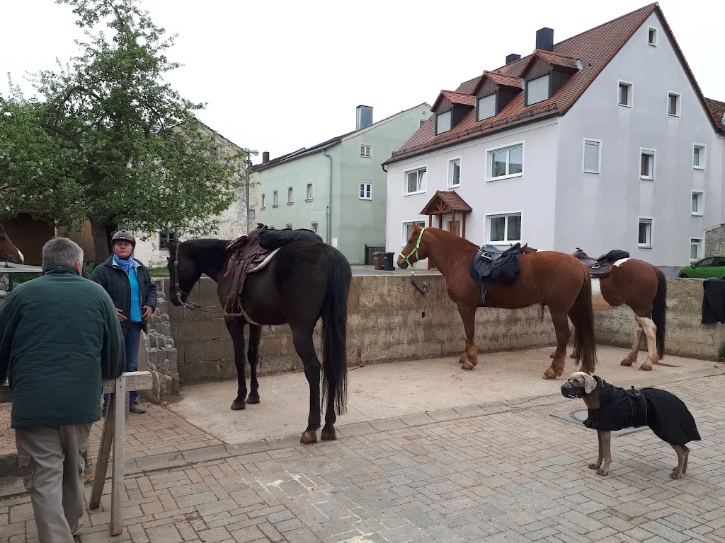 Pferdepension Schmiedhof - Foto 1