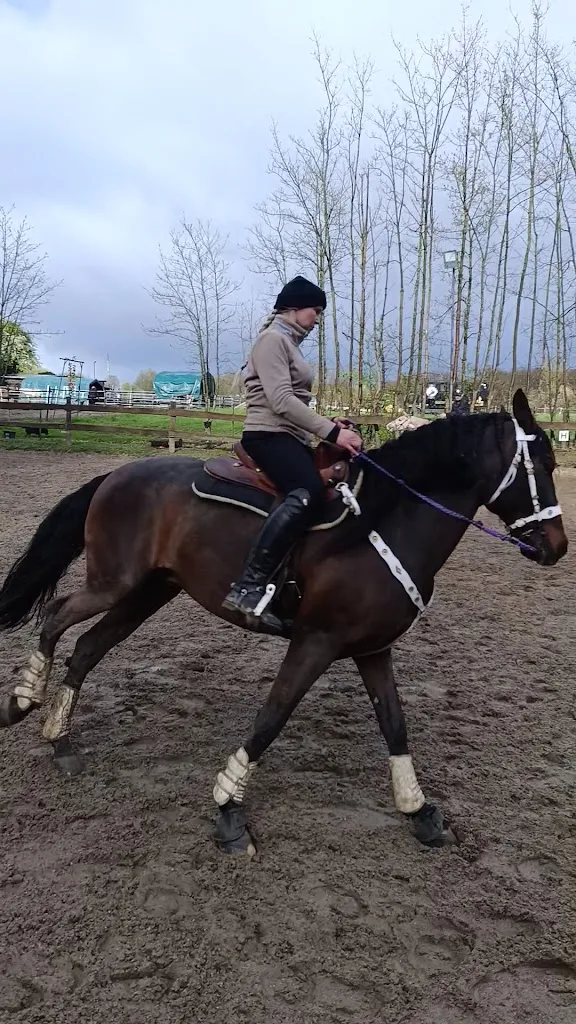 Horseman's Place - Foto 3