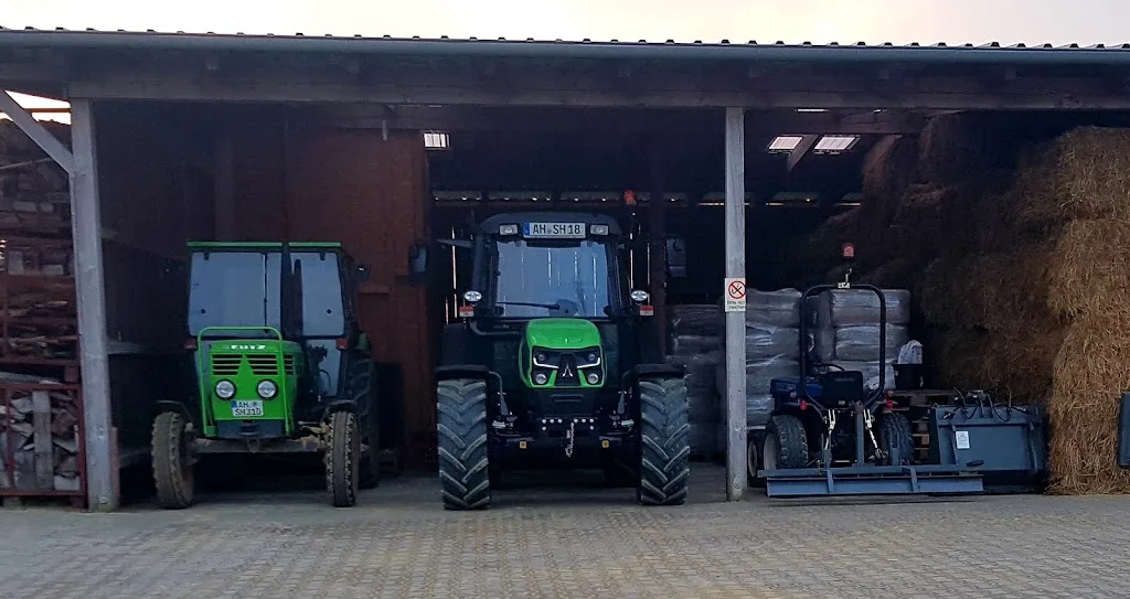 Hof Heling Landwirtschaft/ Reitanlage - Foto 1