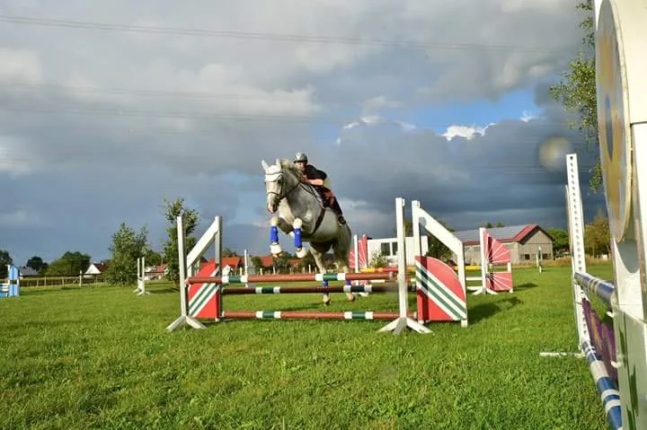 Reitstall Küchle - Foto 1