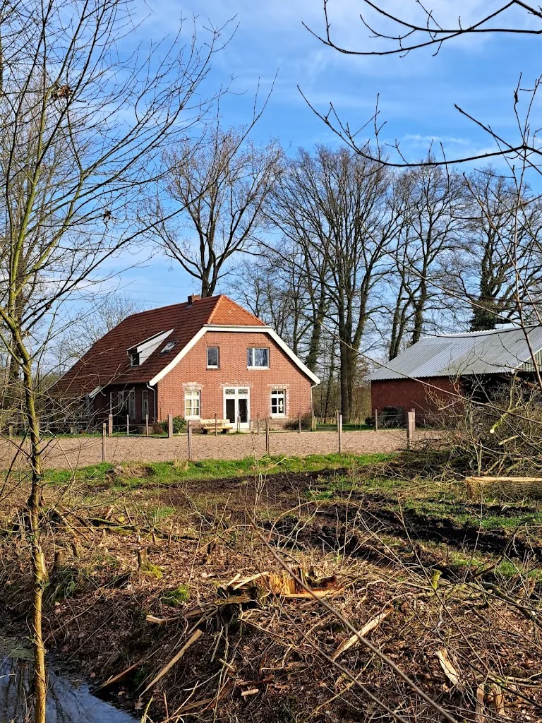 Blömer - photo 1