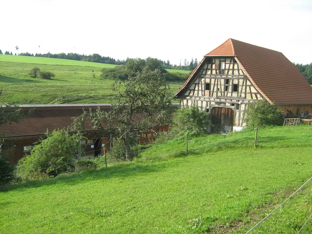 Reiterhof und Pferdepension Aspenhof - Foto 2