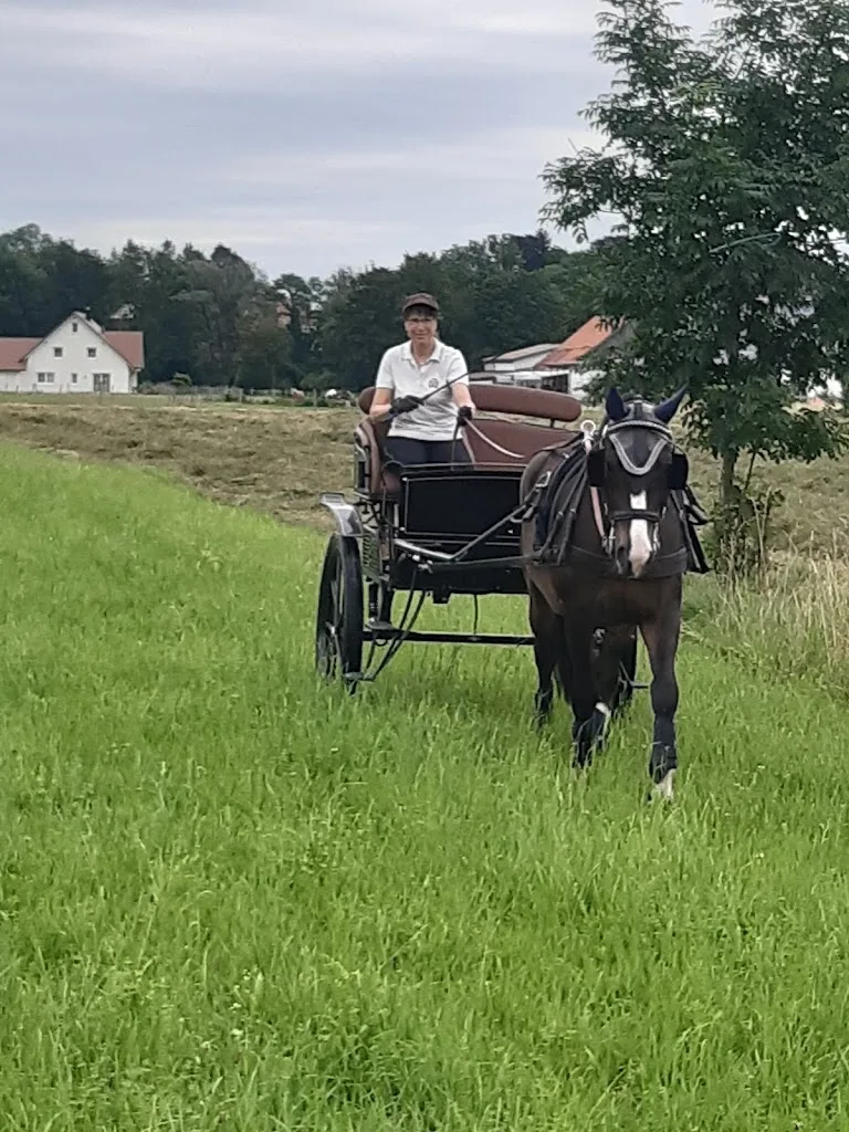 Heger Erwin und Angelika Reitschule Heger - photo 1