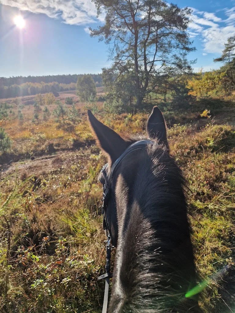 Reitanlage Schönbuchen - photo 1
