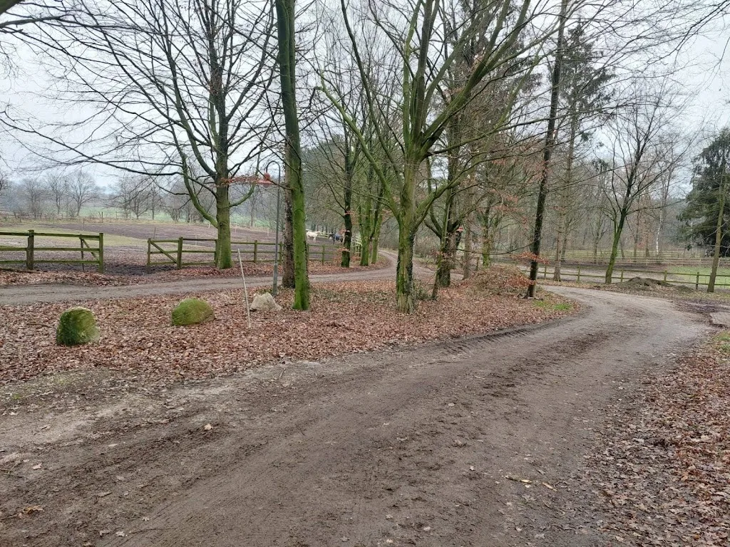 Reitanlage Schönbuchen - photo 2