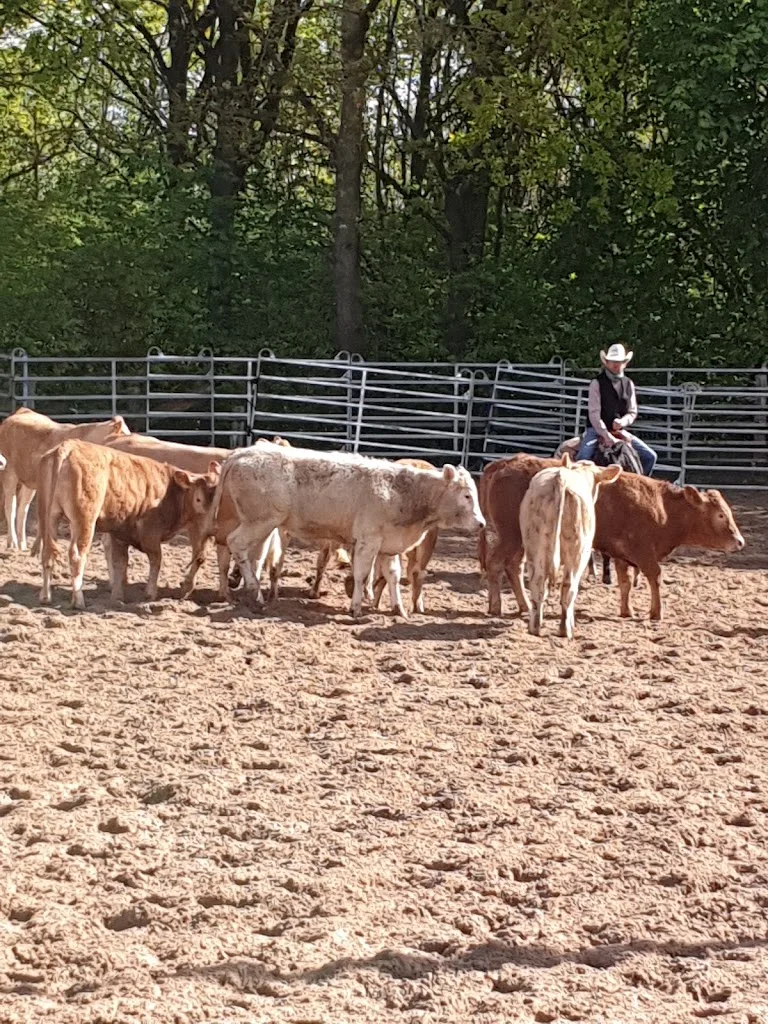 Westernhof-Carlsruhe e.V. - Foto 1