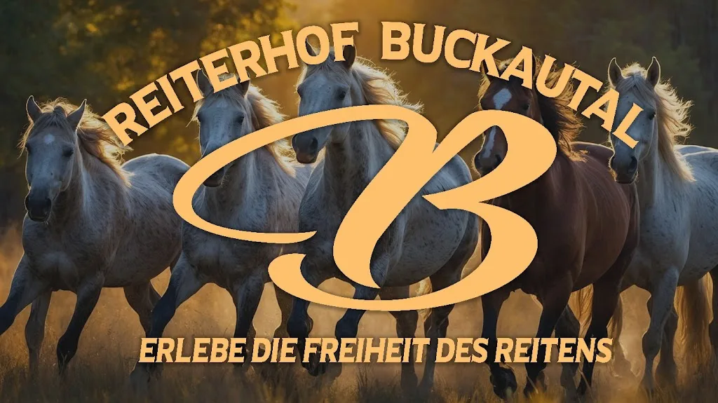 Reiterhof Buckautal - Foto 1