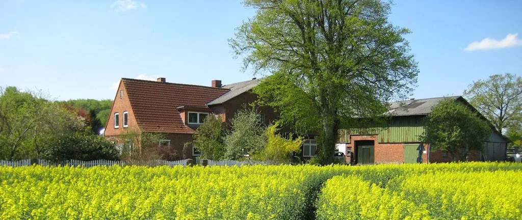 Hof Sückenwatt - Foto 2