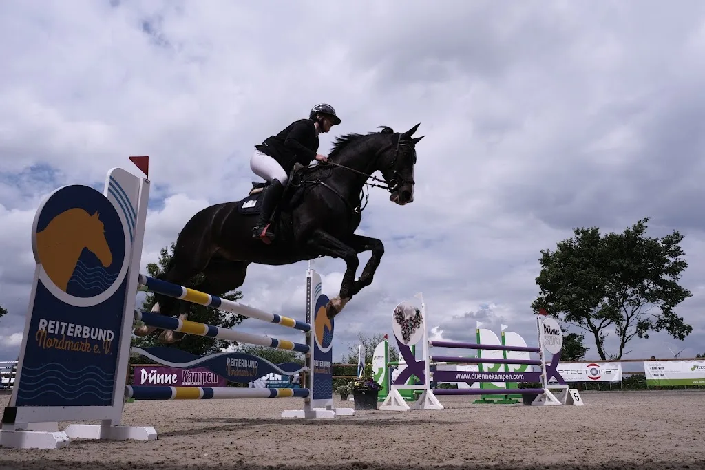 Reitstall Sören Nissen - Foto 3