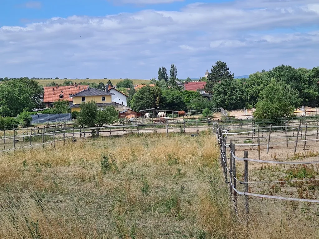Reitanlage RS Neumaier - photo 1