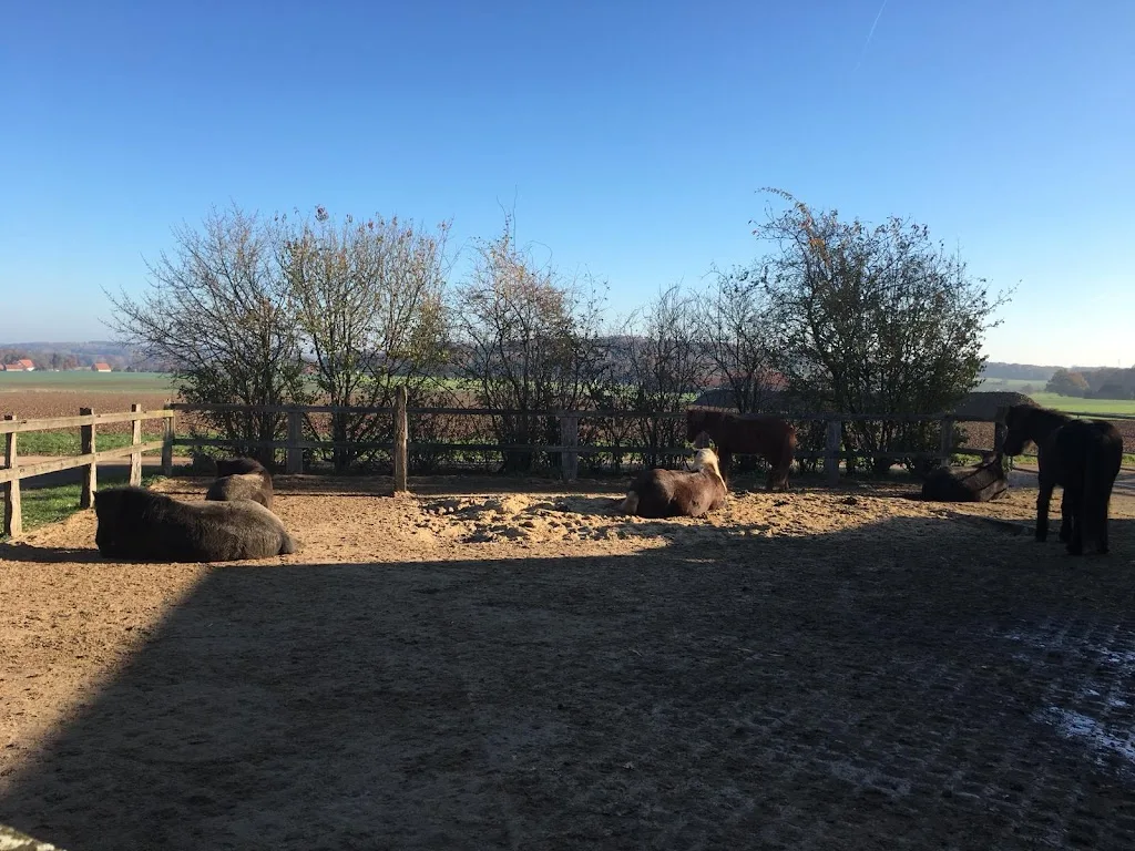 Halterbergshof - Foto 2