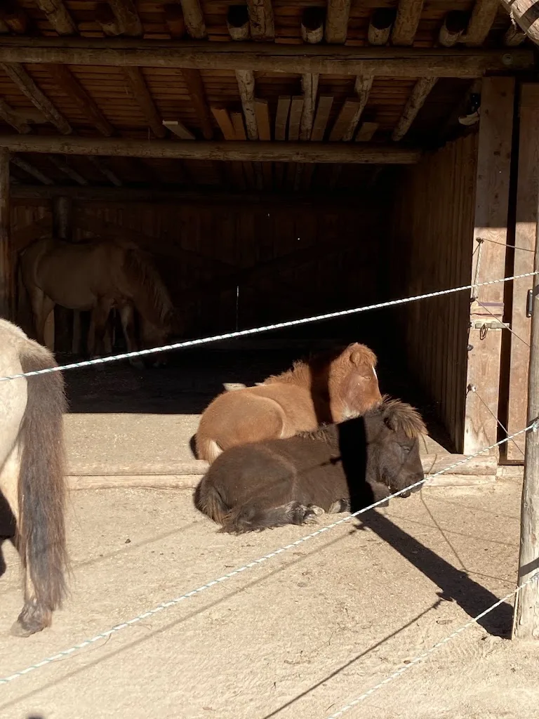 Rosis Ranch - photo 2