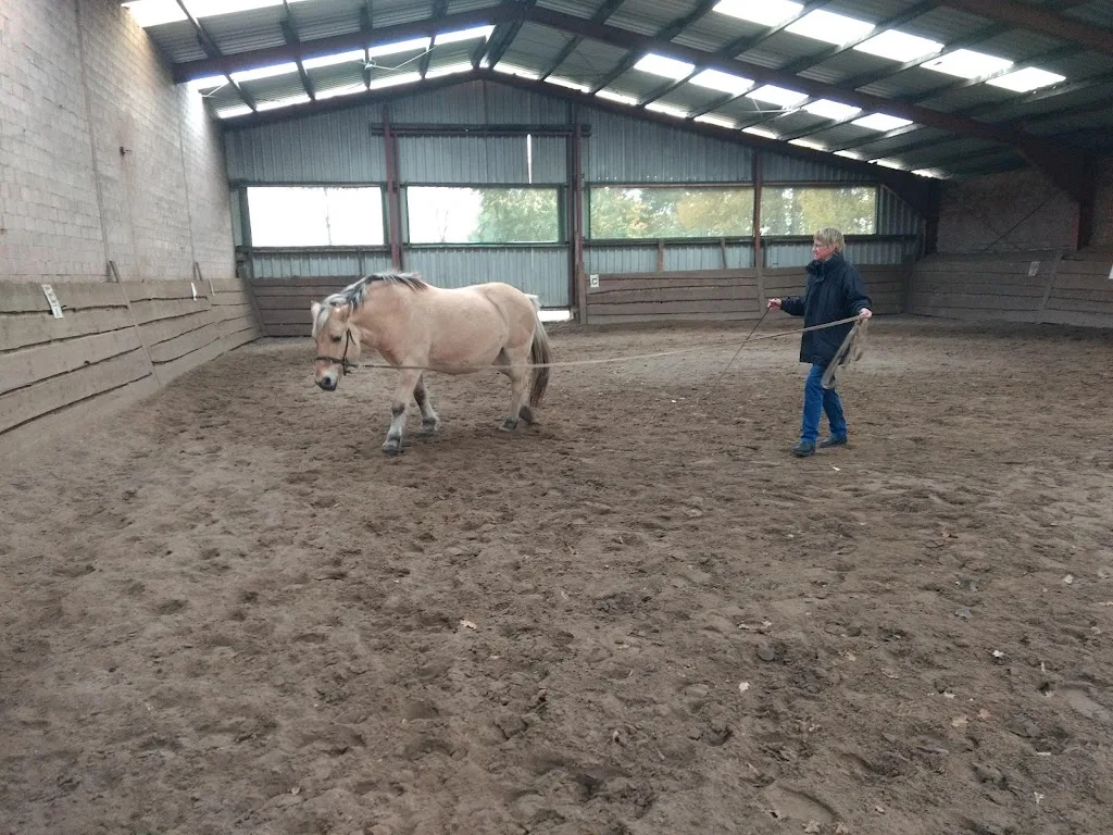 Lazy Horse Ranch - Foto 2