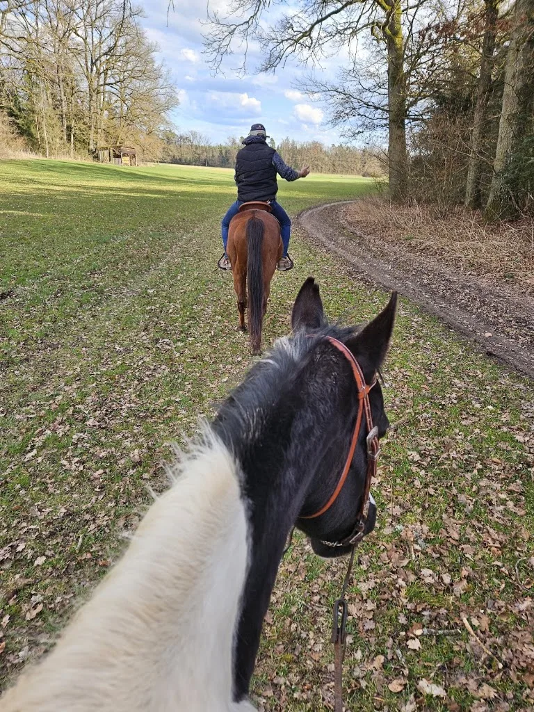 JA Westerntraining - Foto 2