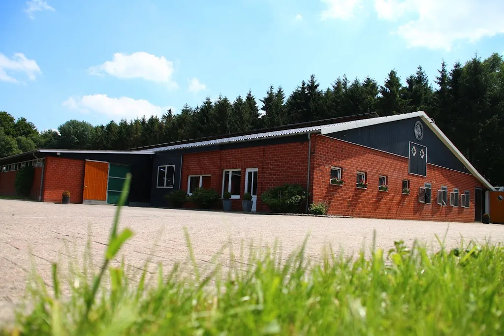 Zucht- und Reitstall Kotschofsky - Foto 1