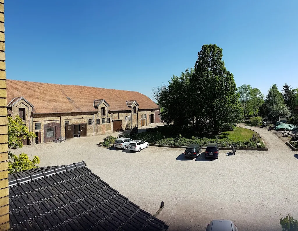 Reiterhof und Ponygestüt Klein Flöthe - Foto 2