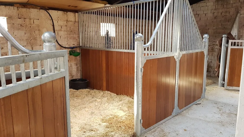 Pferdepension Nenndorf - Foto 1