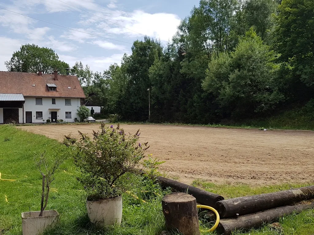 Gut Schorn - photo 2