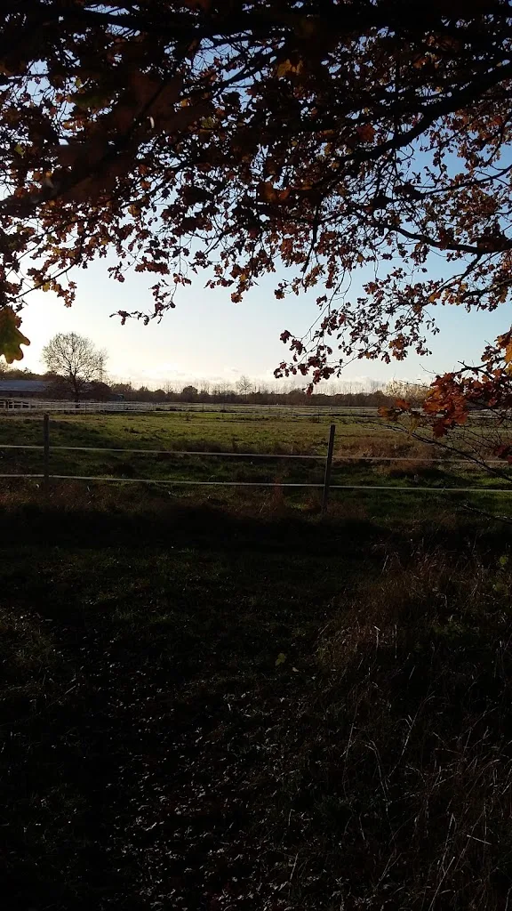 Gestüt Moorgarten - photo 1