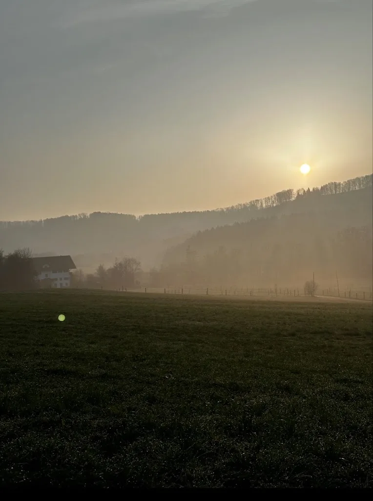 Reithof Bärenbachtal - Foto 2