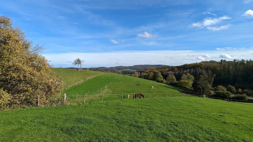 Spaß am Reiten - Foto 1