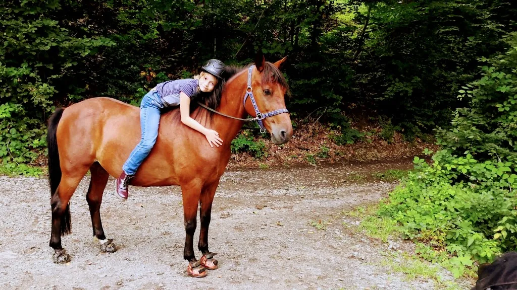Spaß am Reiten - Foto 3