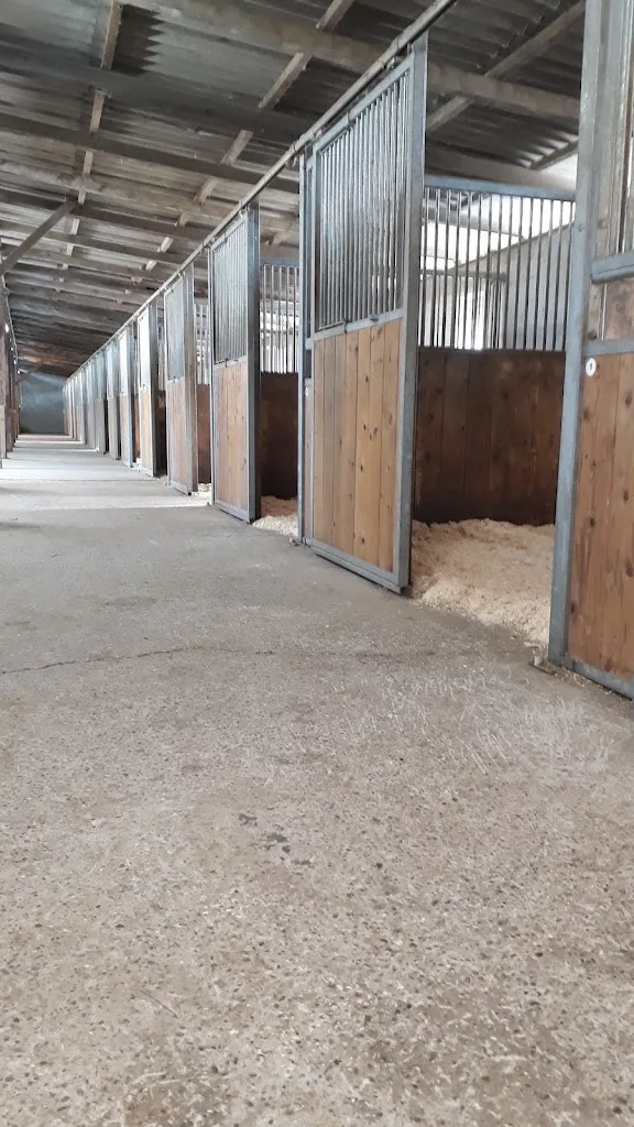 RVL Horse Stables UG - photo 2