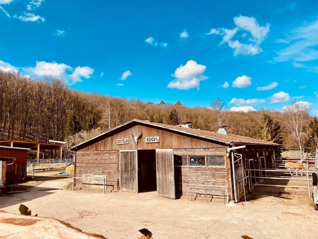 Buffalo Ranch Oberbrunn - photo 1