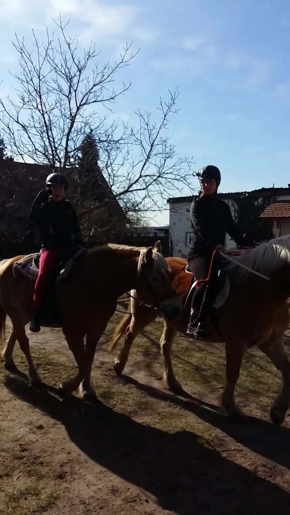 Pferde- und Freizeithof Koplin - Foto 2