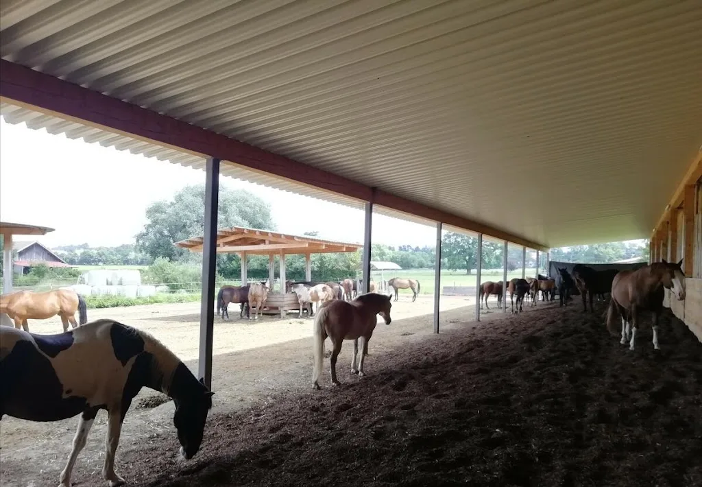 Riedles Riders - photo 2