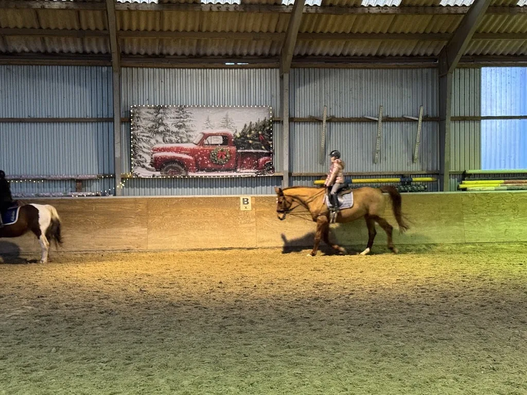 Ponyreitschule Merkel - Foto 2