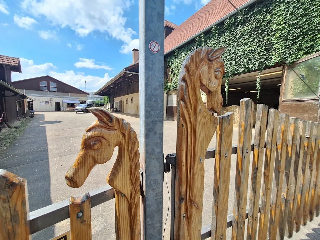 Pferdehof am Schlossberg - Foto 2
