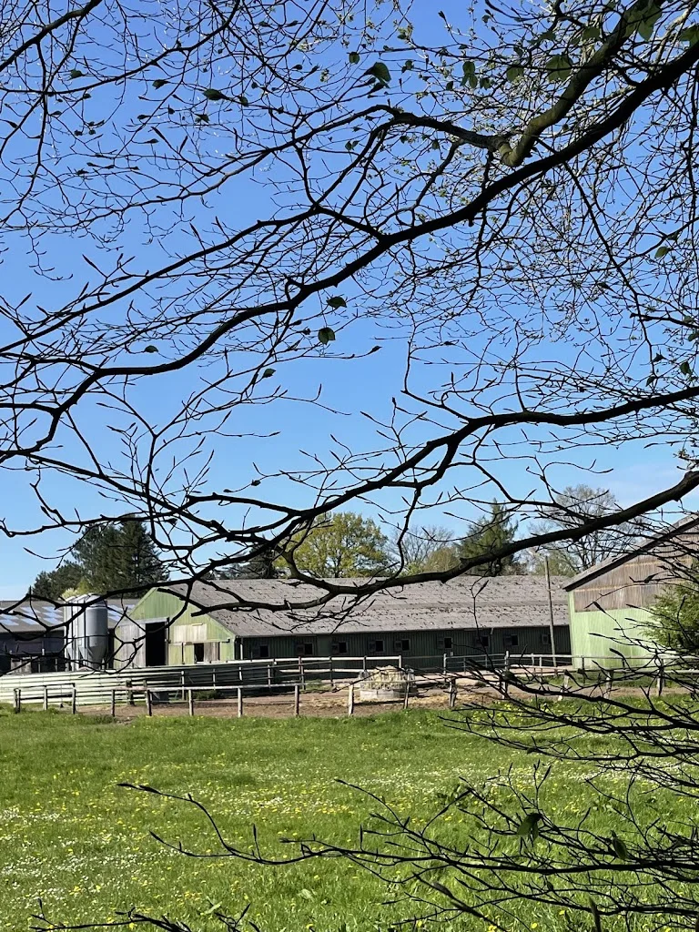 Reitstall Ramcke - Foto 1