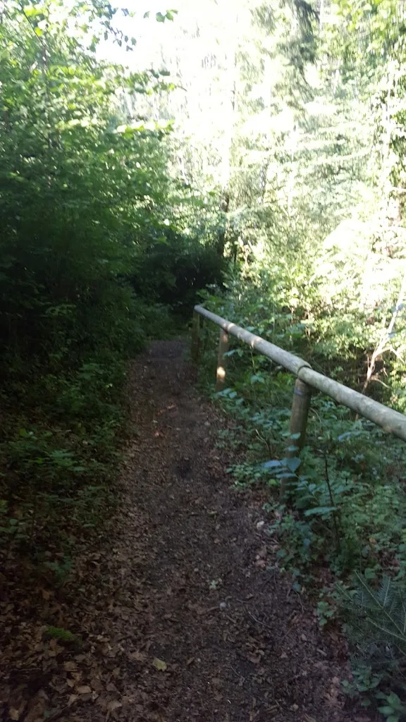 Pferdehof Schmid - photo 2