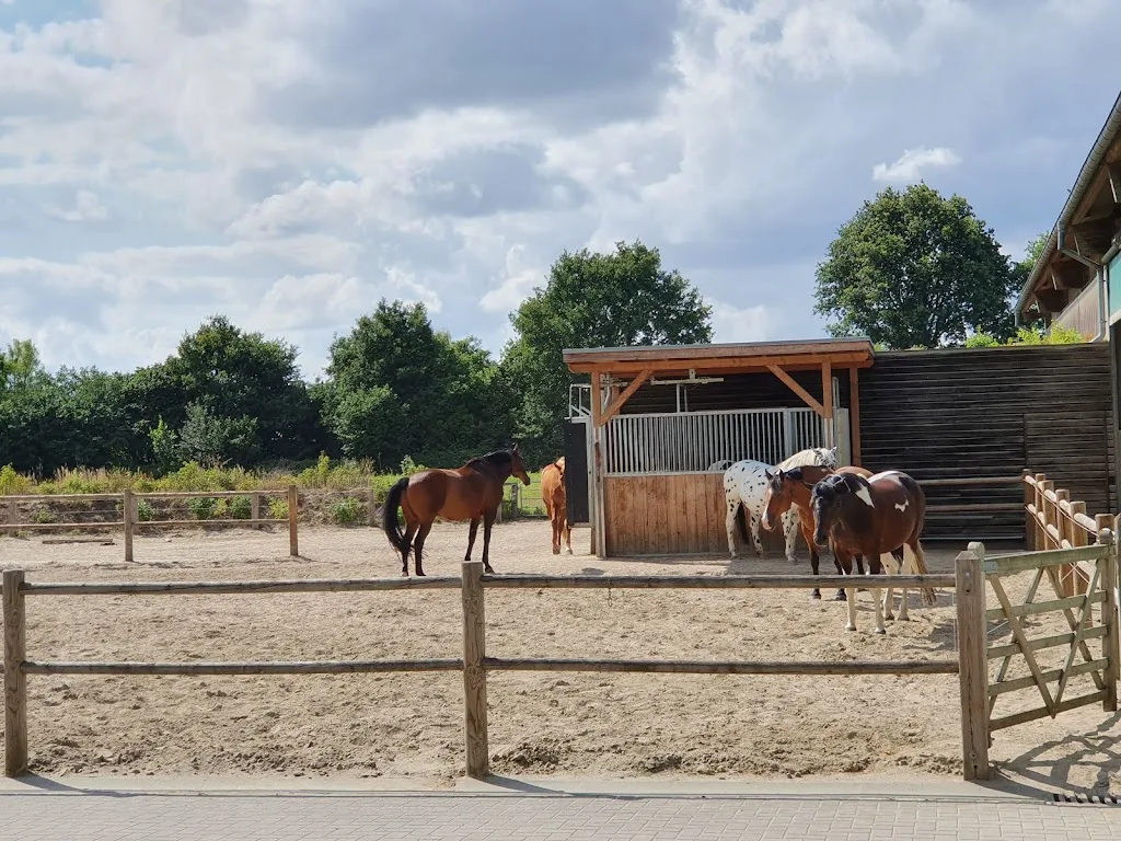 Reiten am Forstgarten - Foto 2