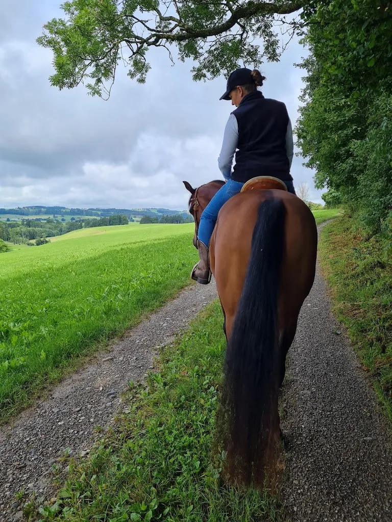 RidingEmotions Pferdetraining Juliane Schmidbauer - photo 1