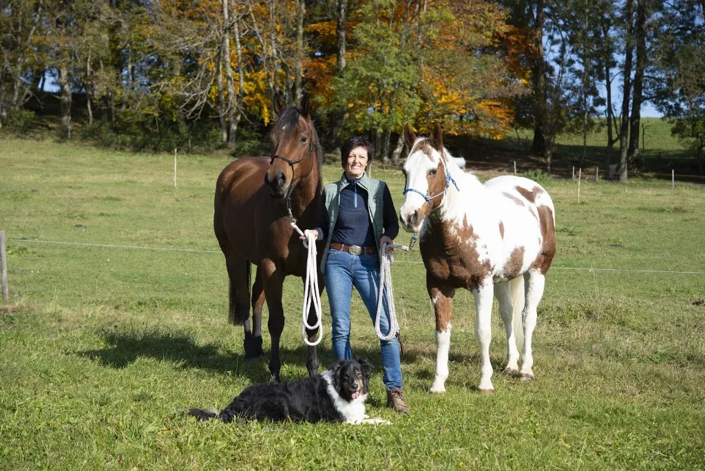 RidingEmotions Pferdetraining Juliane Schmidbauer - photo 3