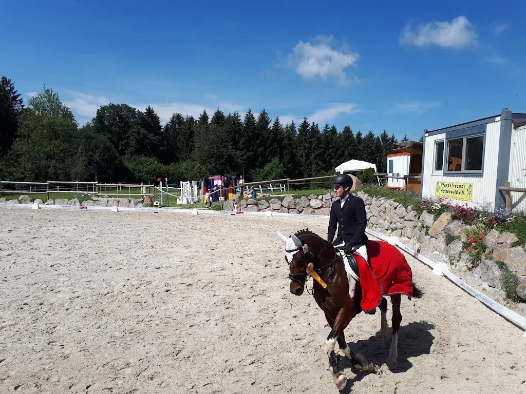 Pferdeparadies Klausenhof - photo 2