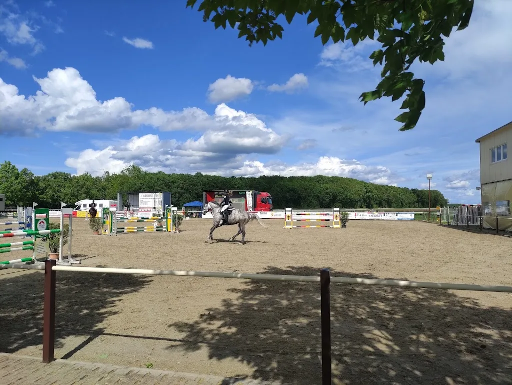 Reitverein Kitzscher e.V. - Foto 1