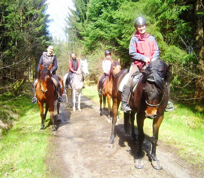 Westernreitstall Braun - Foto 1